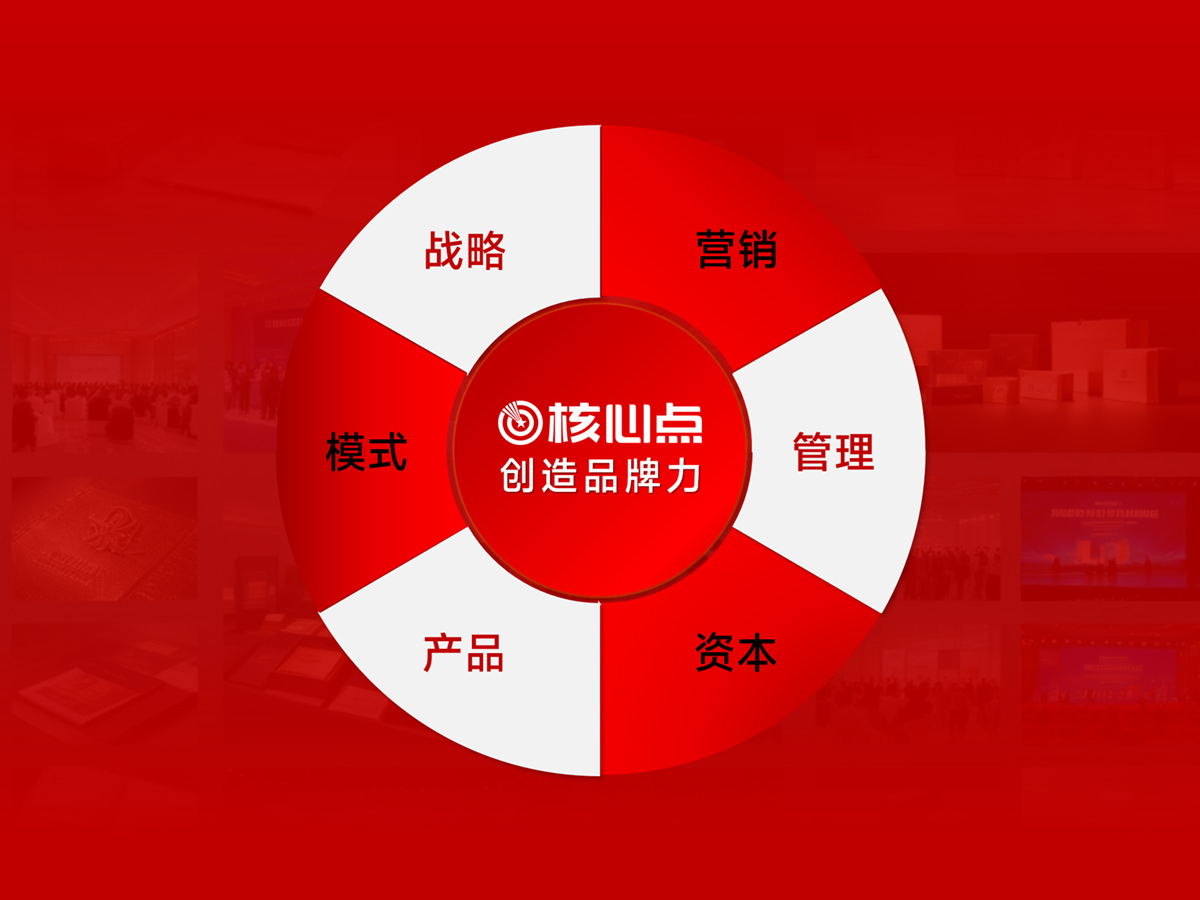 品牌需要构建一个包含“产品力、品牌力、渠道力、组织力”的闭环系统 品牌需要构建一个包含“产品力、品牌力、渠道力、组织力”的闭环系统